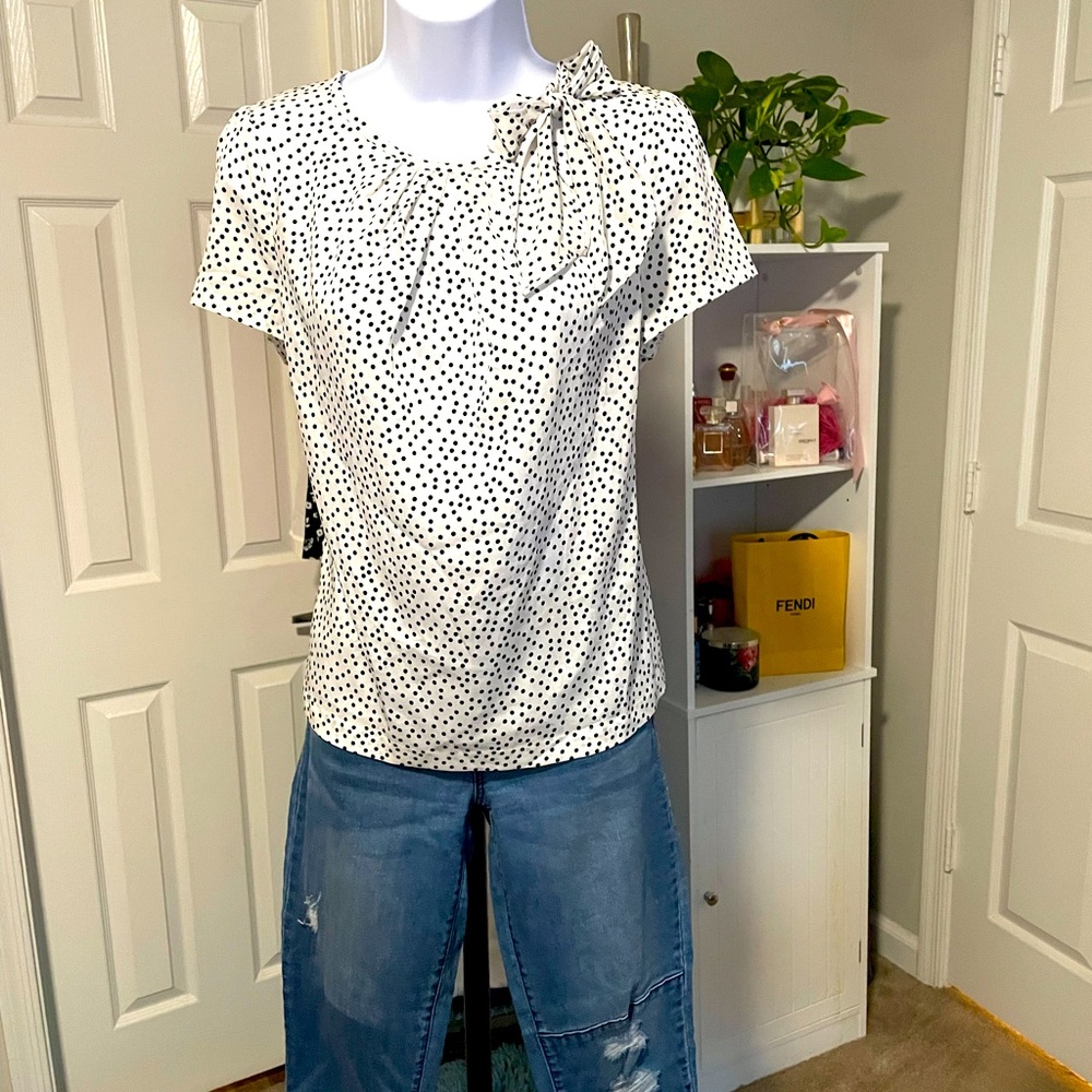 Ann Taylor Short Sleeve Top
